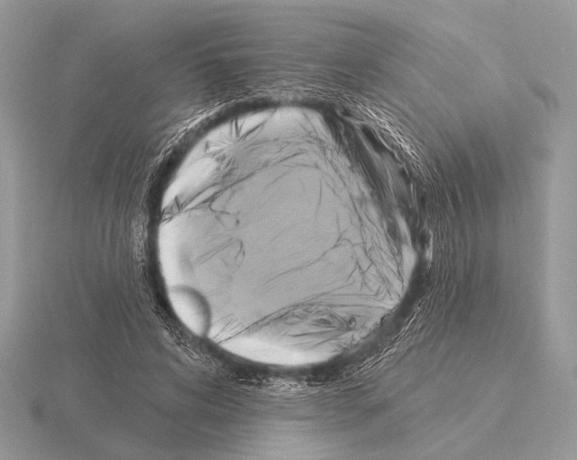 X0000115330592200912141221