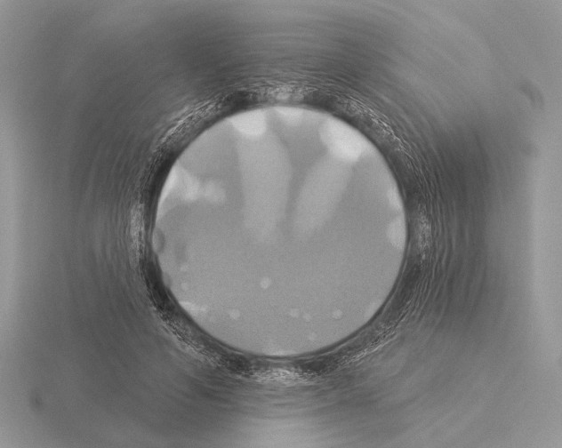 X0000115330594200912141221