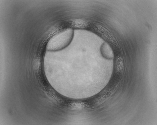 X0000115330595200912141221