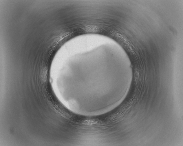 X0000115330596200912141221