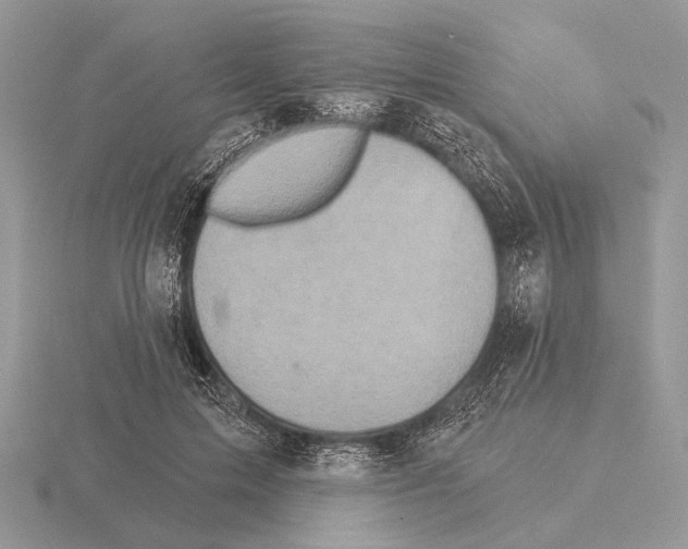 X0000115330599200912141220