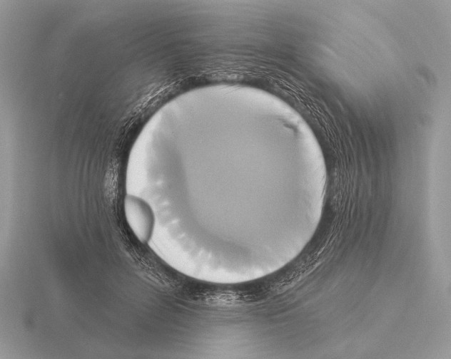 X0000115330600200912141220