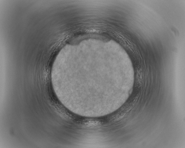 X0000115330601200912141220