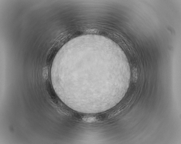 X0000115330602200912141220