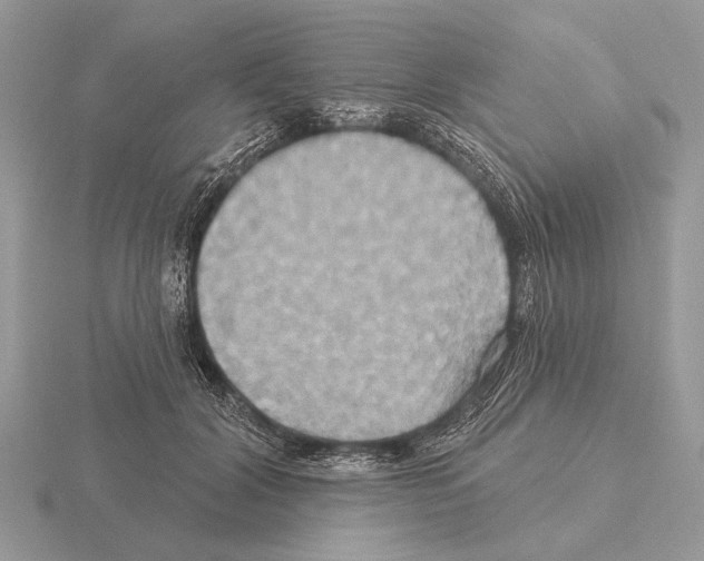 X0000115330604200912141220