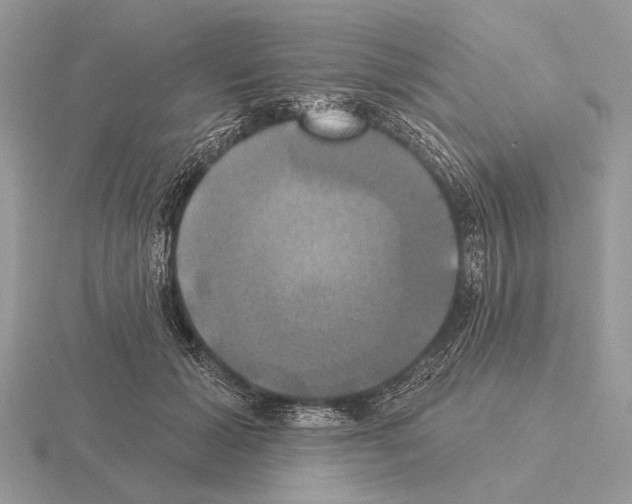 X0000115330605200912141220