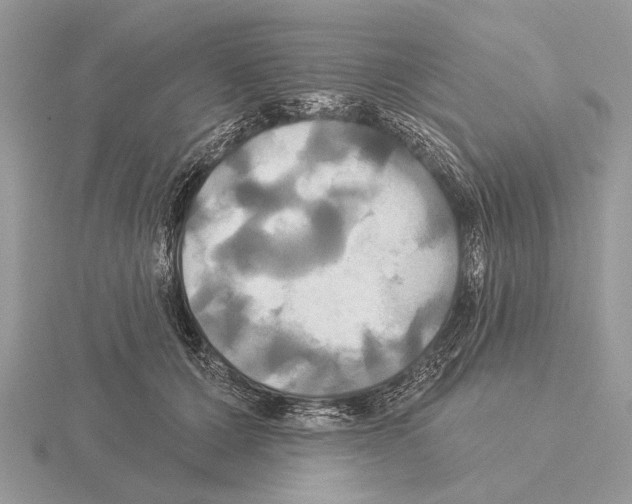 X0000115330607200912141220