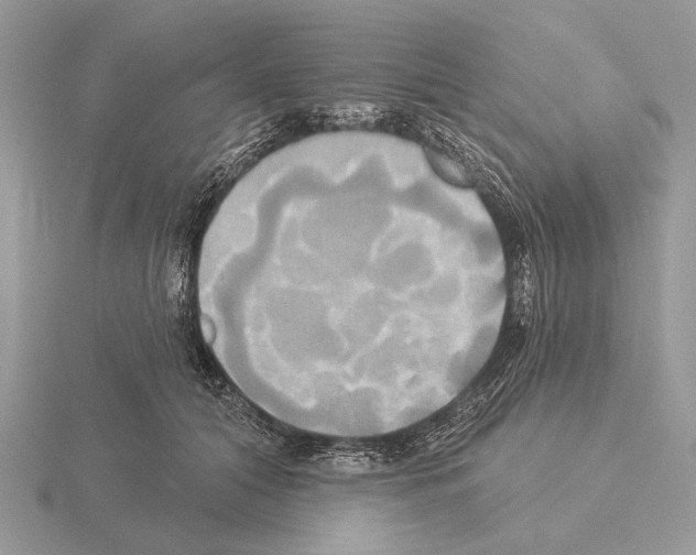 X0000115330608200912141220