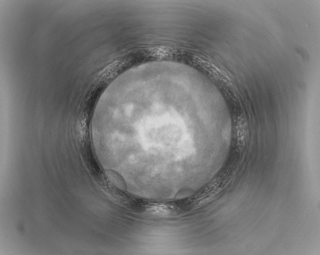 X0000115330611200912141220