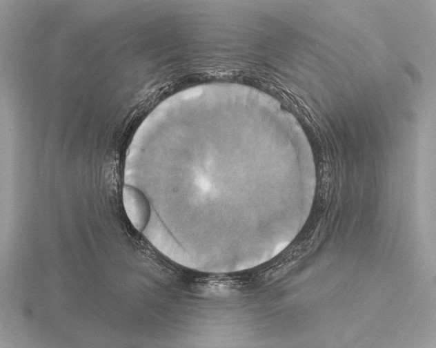 X0000115330612200912141220