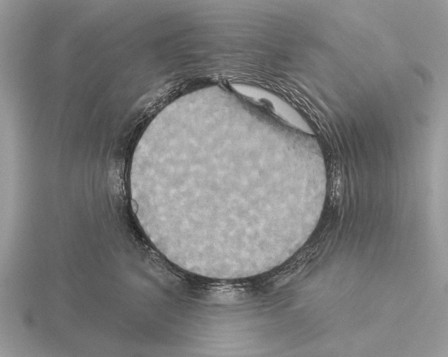 X0000115330616200912141220