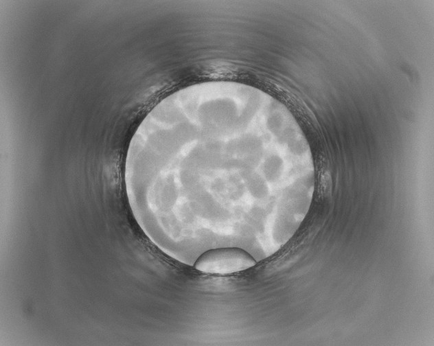 X0000115330620200912141220