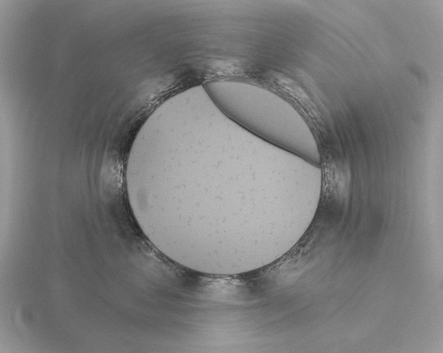 X0000115330621200912141220