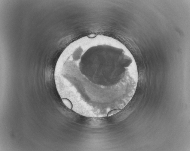 X0000115330623200912141220