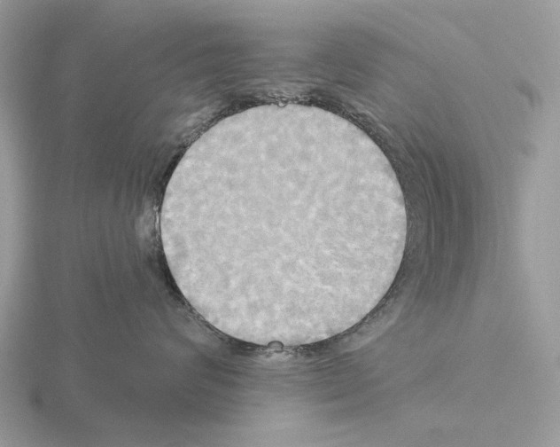 X0000115330624200912141220