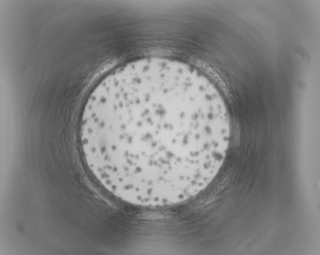 X0000115330625200912141220