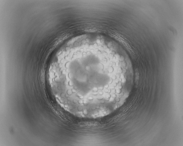 X0000115330626200912141220