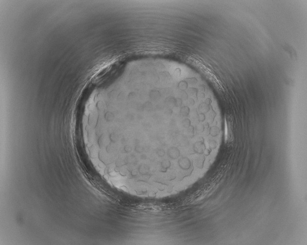 X0000115330627200912141220