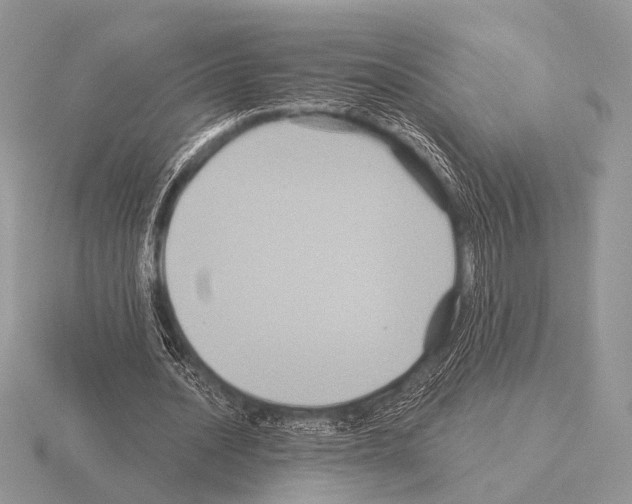 X0000115330628200912141220