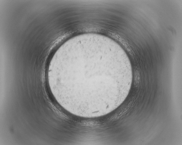 X0000115330629200912141220