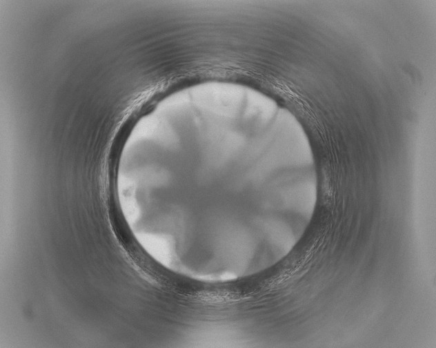 X0000115330630200912141220