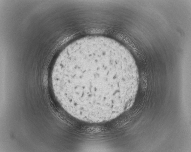 X0000115330631200912141220