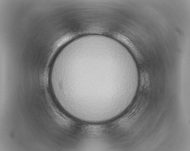 X0000115330632200912141220