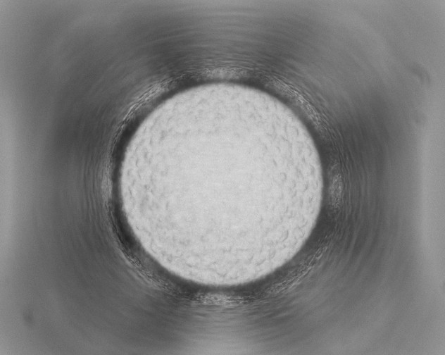 X0000115330635200912141220