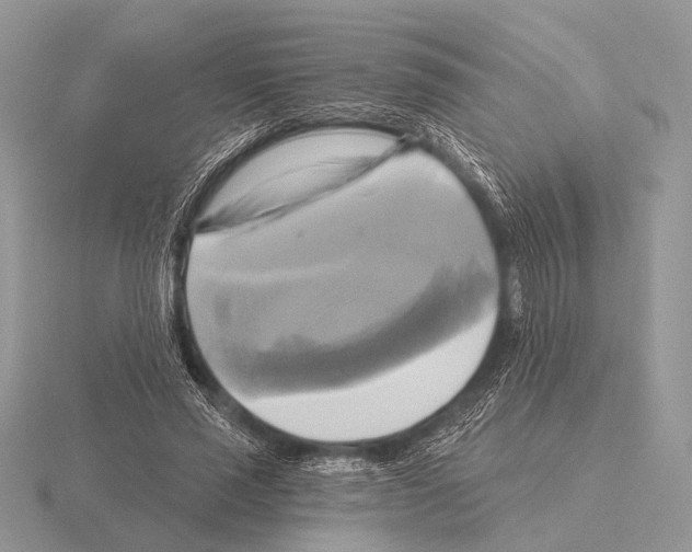 X0000115330637200912141220