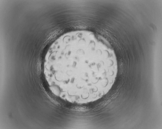 X0000115330638200912141220