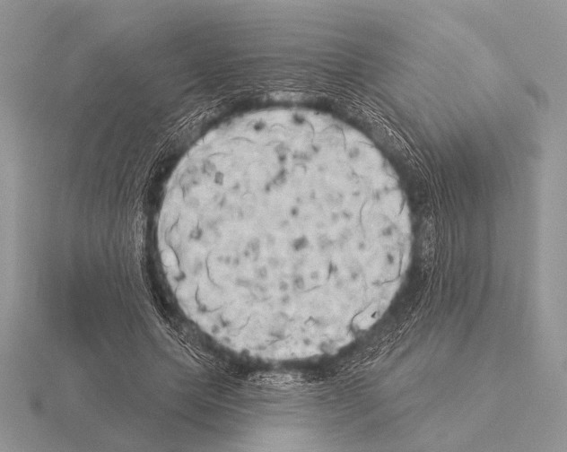 X0000115330639200912141220