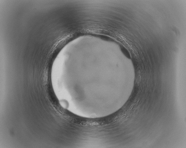 X0000115330640200912141220