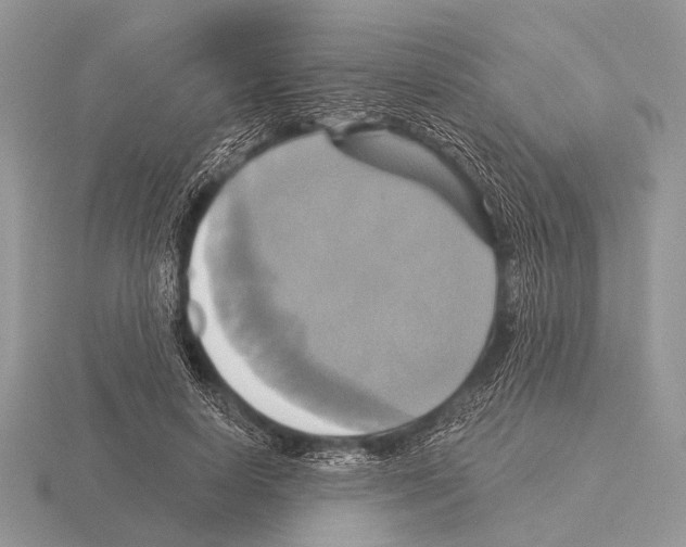 X0000115330642200912141220