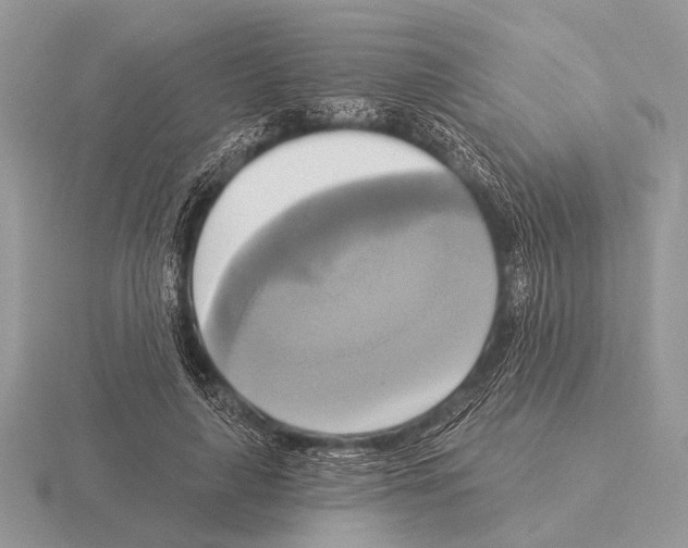 X0000115330643200912141220