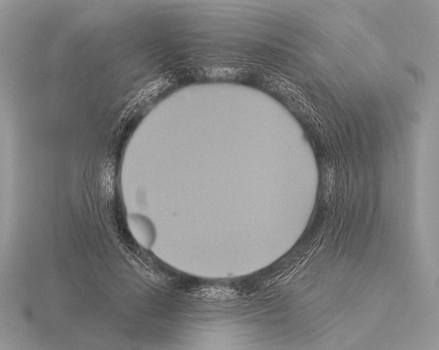 X0000115330644200912141220