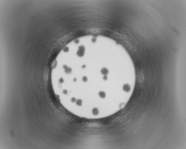 X0000115330645200912141220