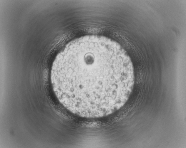 X0000115330646200912141220