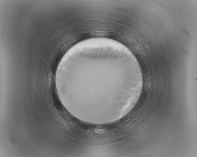 X0000115330647200912141220