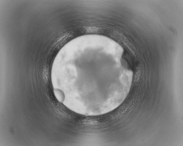 X0000115330648200912141220