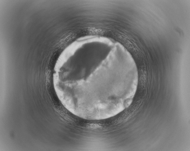 X0000115330649200912141220