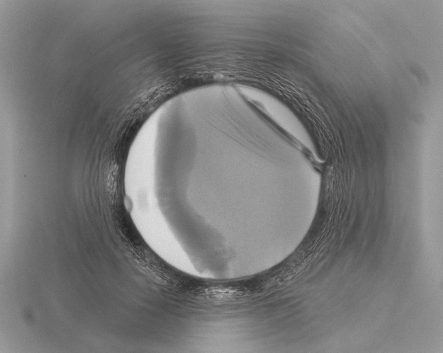 X0000115330650200912141220