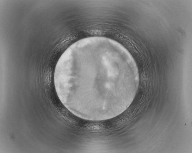 X0000115330652200912141220