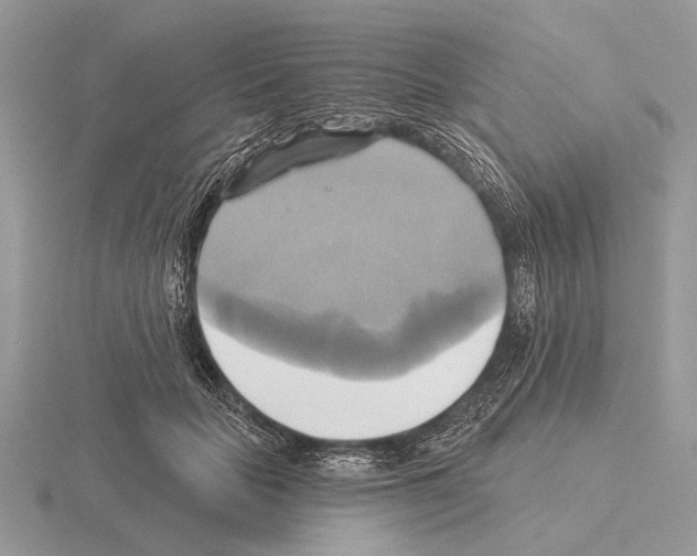 X0000115330653200912141220