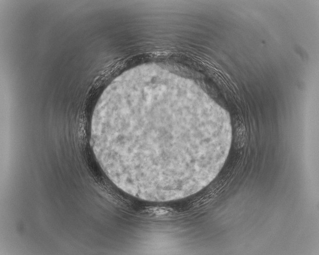 X0000115330654200912141220