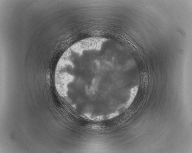 X0000115330655200912141220