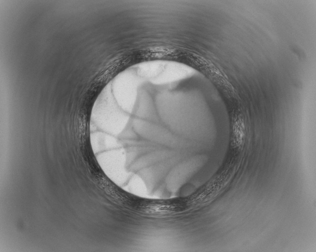 X0000115330657200912141220