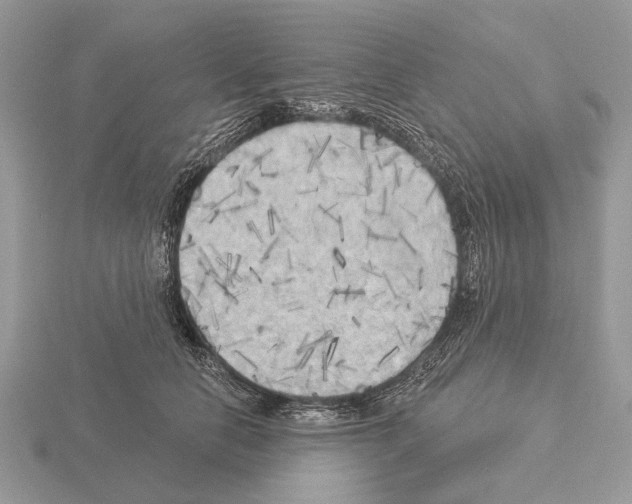 X0000115330658200912141220