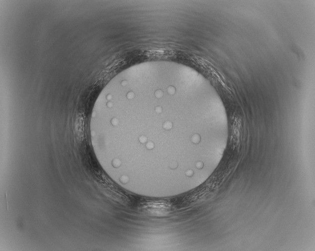 X0000115330659200912141220