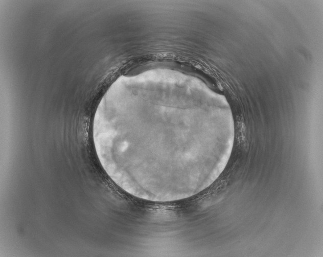 X0000115330664200912141220