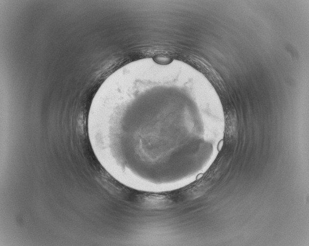 X0000115330669200912141220